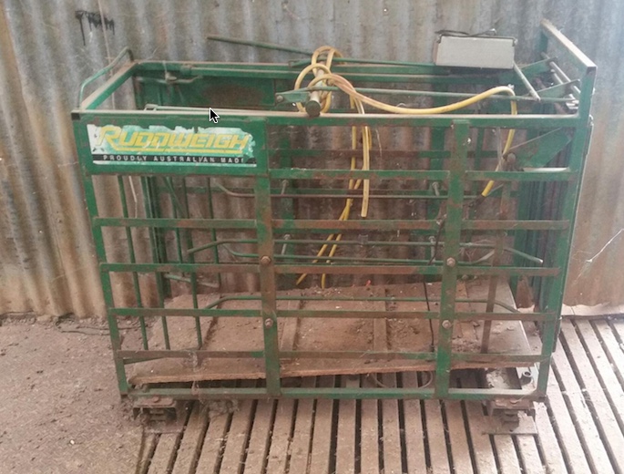 Ruddweigh sheep scale and monitor Livestock Equipment Sheep